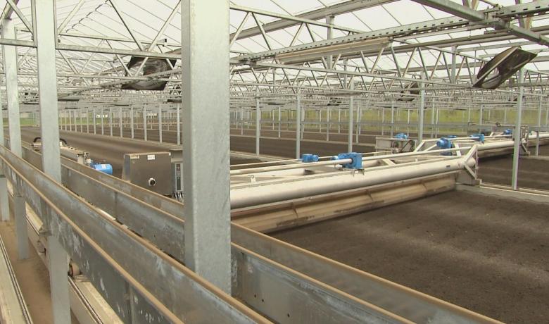 Huber Bayreuth - sludge drying greenhouse construction - Deforche - Hedafor 