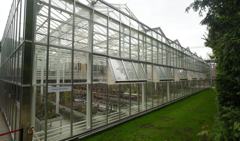 Groene Ark - Plantentuin Meise - jardin botanique - botanical garden - botanische tuin