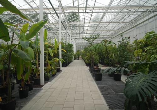 Plantentuin Meise - jardin botanique - botanical garden - botanische tuin